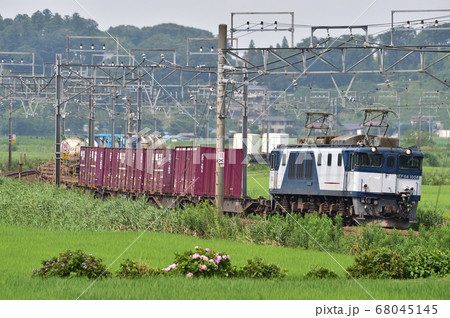 総武本線　佐倉ー物井　JR貨物　EF64-1008（愛知） 68045145