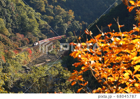 京都の秋 紅葉の嵐山 保津峡を走る嵯峨野トロッコ列車の写真素材