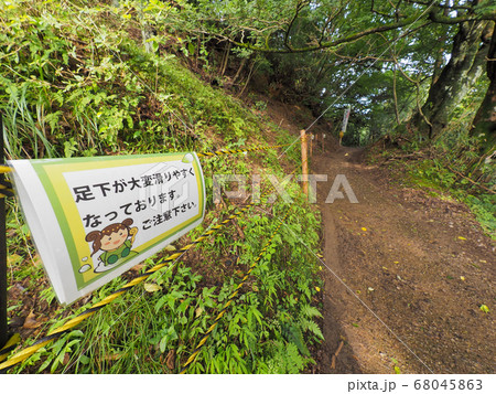 御杖村 岡田の谷の半夏生園 御杖村 岡田の谷の半夏生園 68045863