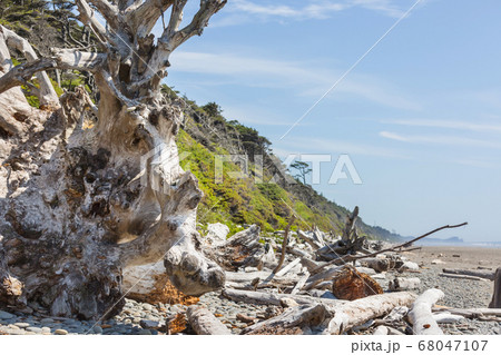 Olympic coast 68047107
