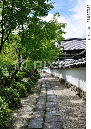 金剛寺 68047582