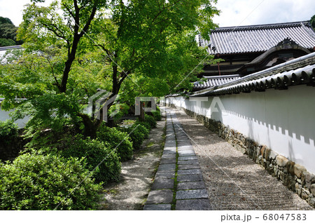 金剛寺 金剛寺 68047583