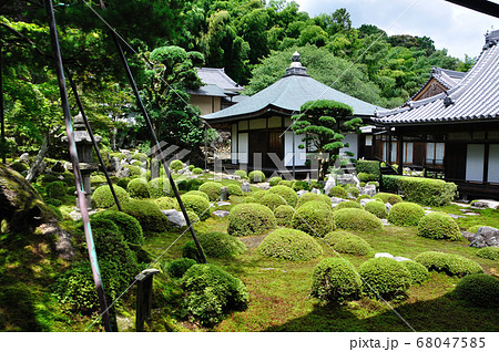 金剛寺 金剛寺 68047585
