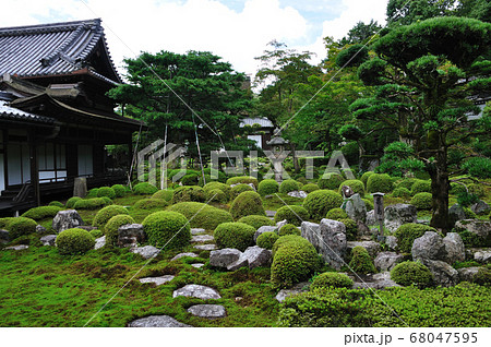 金剛寺 68047595