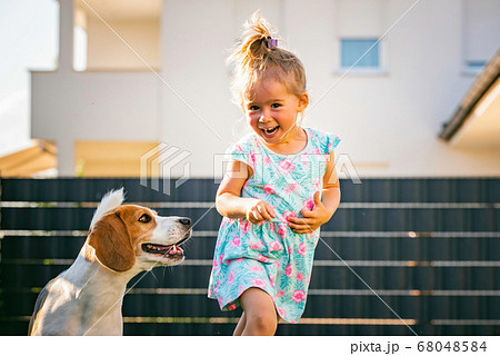 Baby girl running with beagle dog in backyard in Baby girl running with beagle dog in backyard in 68048584