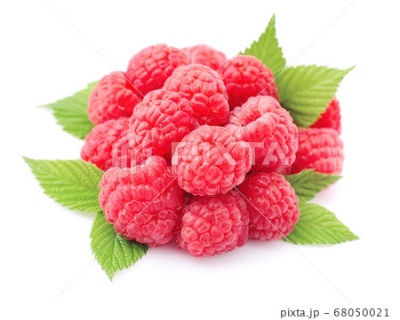 raspberry raspberry 68050021