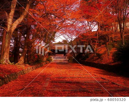 京都の秋 68050320
