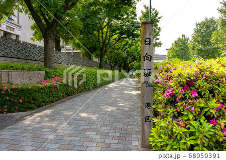 日向坂 日向坂 68050391