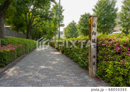 日向坂 日向坂 68050393