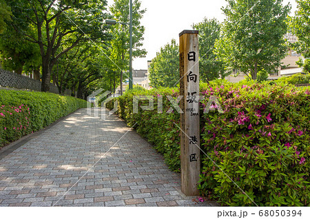 日向坂 日向坂 68050394