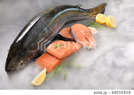 Fresh seafood fish 68050858