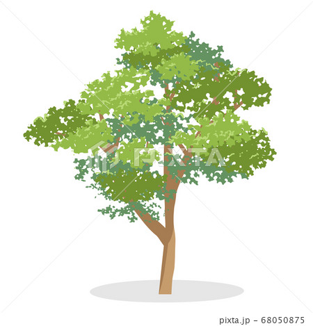 陰影のあるやや写実的な木のベクターイラストカット 陰影のあるやや写実的な木のベクターイラストカット 68050875