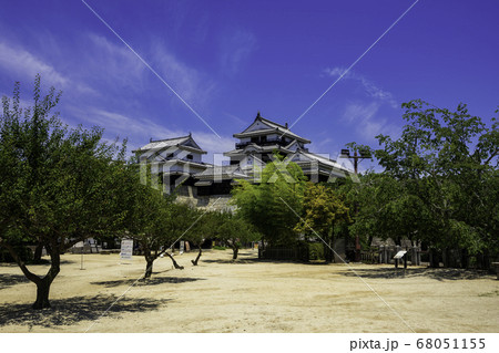 松山城 大天守 愛媛県松山市 松山城 大天守 愛媛県松山市 68051155