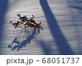 冬景色 68051737