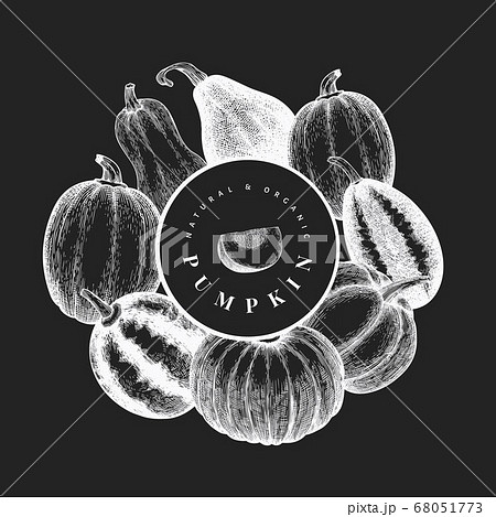 Pumpkin design template. Vector hand drawn Pumpkin design template. Vector hand drawn 68051773