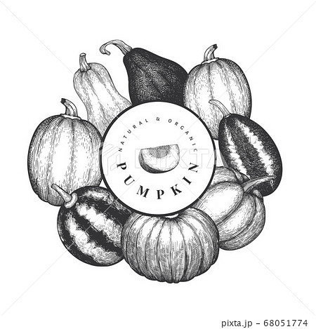 Pumpkin design template. Vector hand drawn 68051774