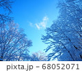 冬 68052071