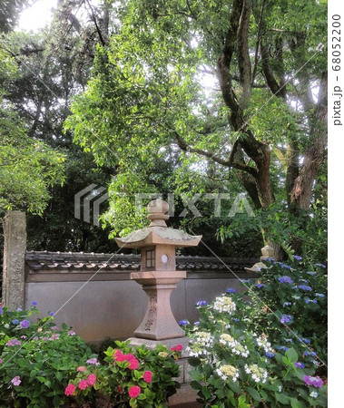 明石住吉神社 明石住吉神社 68052200