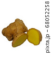 生姜　しょうが　ショウガ　ginger 68052258