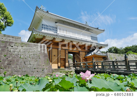 蓮が咲き夏を迎えた御楼門の景色 68052883