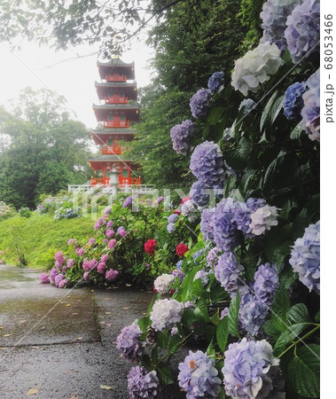 如意山金剛寺 68053466