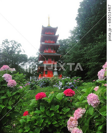 如意山金剛寺 如意山金剛寺 68053467