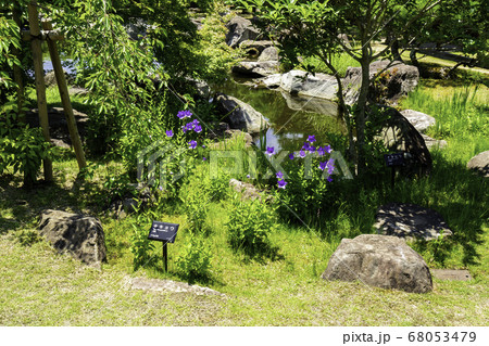 松山城　二之丸史跡庭園　林泉庭　愛媛県松山市 68053479