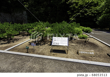 松山城　二之丸史跡庭園　表御殿跡柑橘・草花園　愛媛県松山市 68053513