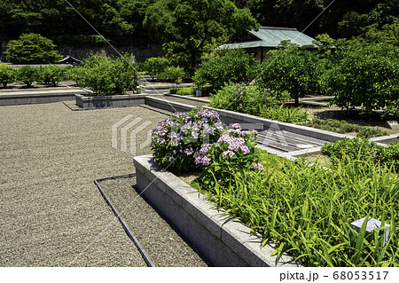 松山城 二之丸史跡庭園 林泉庭 愛媛県松山市 松山城 二之丸史跡庭園 林泉庭 愛媛県松山市 68053517