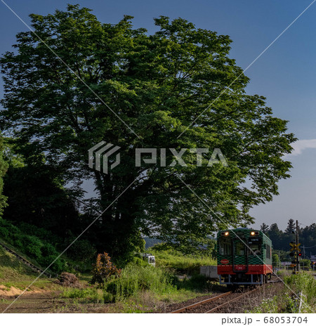 大木と真岡鐵道 68053704
