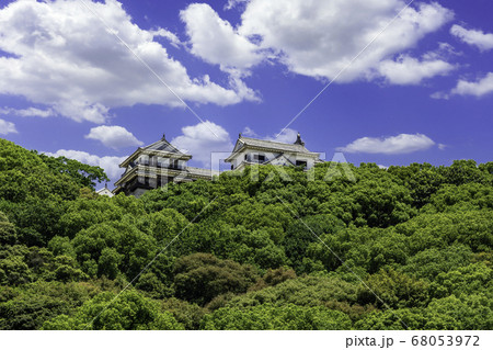 松山城 二之丸史跡庭園からの南隅櫓 愛媛県松山市 松山城 二之丸史跡庭園からの南隅櫓 愛媛県松山市 68053972