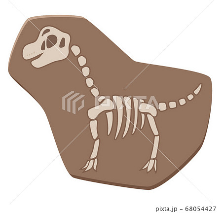 かわいい恐竜の化石のイラスト ブラキオサウルスのイラスト素材