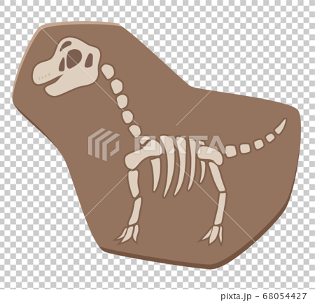 かわいい恐竜の化石のイラスト ブラキオサウルスのイラスト素材