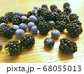 ブルーベリーとブラックベリー 68055013