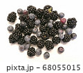 ブラックベリーとブルーベリー 68055015