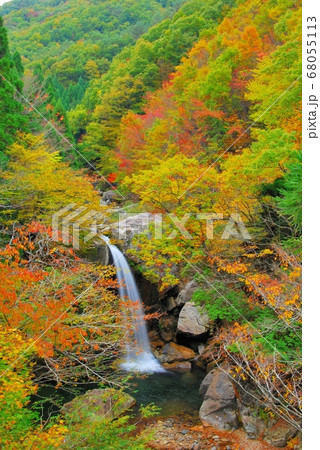 広島県三段峡 魚切滝の紅葉 広島県三段峡 魚切滝の紅葉 68055113