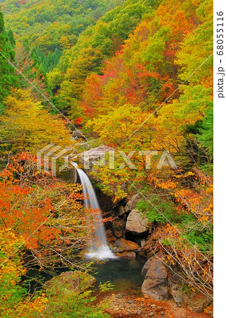 広島県三段峡 魚切滝の紅葉 広島県三段峡 魚切滝の紅葉 68055116