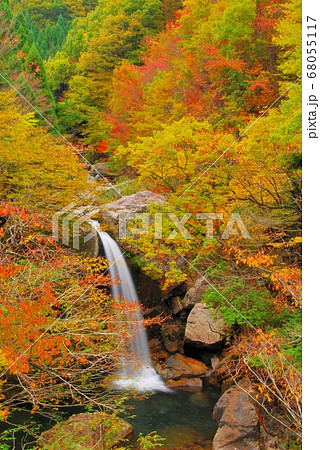 広島県三段峡 魚切滝の紅葉 広島県三段峡 魚切滝の紅葉 68055117