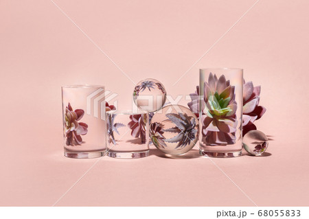 Stylish set with home plant distorted trough glass. Stylish home decor.Home gardening. 68055833