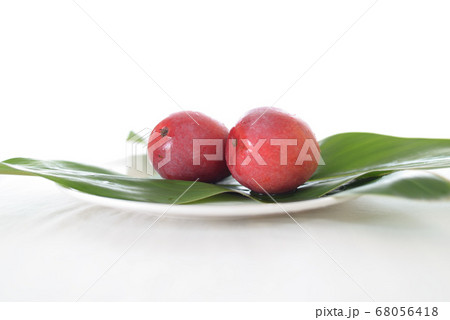 スタジオ撮影／マンゴーフルーツ 68056418