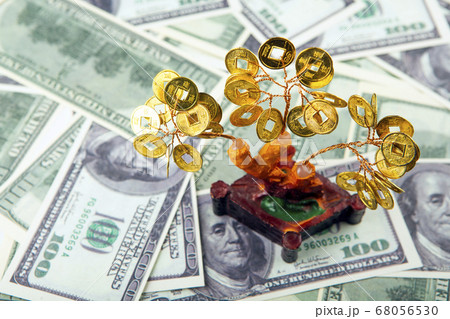 image of tree money background 68056530