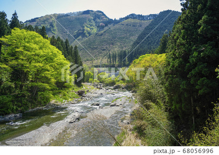 新緑の御岳渓谷 多摩川に架かる吊り橋神路橋からの下流側の風景 新緑の御岳渓谷 多摩川に架かる吊り橋神路橋からの下流側の風景 68056996