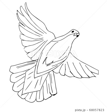 A Flying Pigeon Vectors graphic art designs in editable .ai .eps .svg .cdr  format free and easy download unlimit id:54451