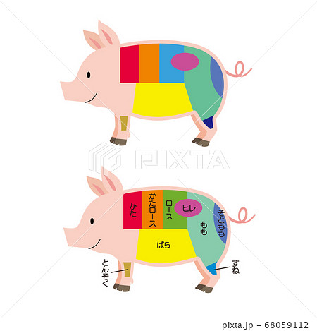 豚肉の部位解説画像のイラスト素材