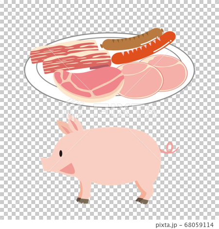豬肉和加工肉 68059114