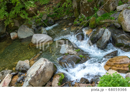 新緑の照葉峡 奥利根 群馬県みなかみ町 新緑の照葉峡 奥利根 群馬県みなかみ町 68059366