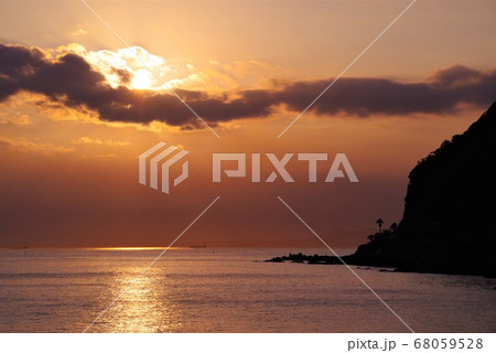 千葉県鋸南町明鐘岬のヤシの木の夕日 68059528