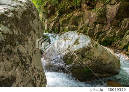 新緑の照葉峡 奥利根 群馬県みなかみ町 新緑の照葉峡 奥利根 群馬県みなかみ町 68059559