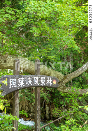 新緑の照葉峡　奥利根　　群馬県みなかみ町　　 68059573