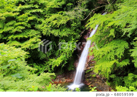 秩父華厳の滝 68059599